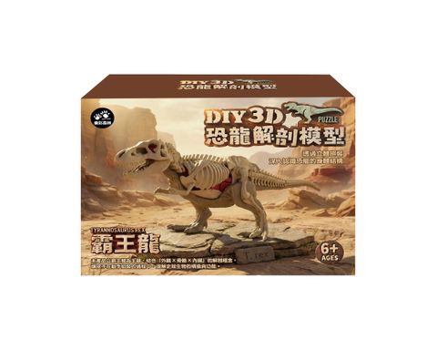 4711514112825-3D霸王龍解剖模型-4