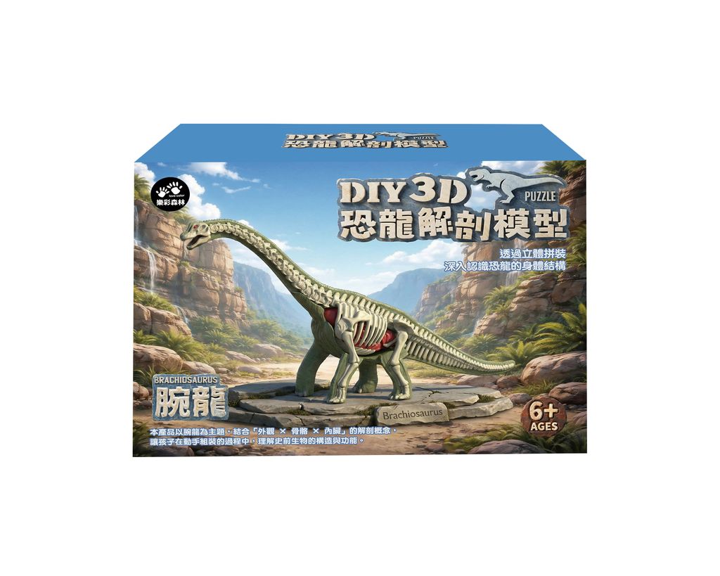 4711514112832-3D腕龍解剖模型-4