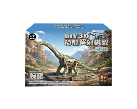 4711514112832-3D腕龍解剖模型-4