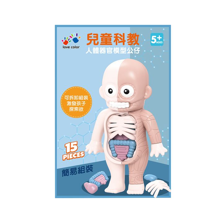 4711514111736_兒童科教人體器官模型公仔 (2)(800)