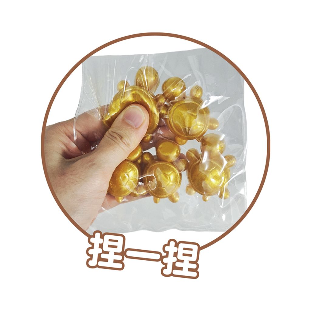 NG0389-020 療癒捏捏樂-小金龜_4(800)