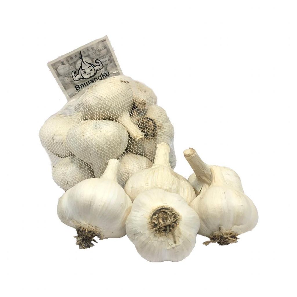 WhatsApp Image 2020-04-16 at 11.00.16.jpeg