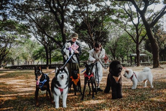獨家四邊釦/胸背帶 | MISHIBAKE三柴家
