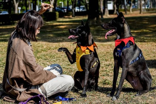 H型防掙脫/雙層織帶 | MISHIBAKE三柴家