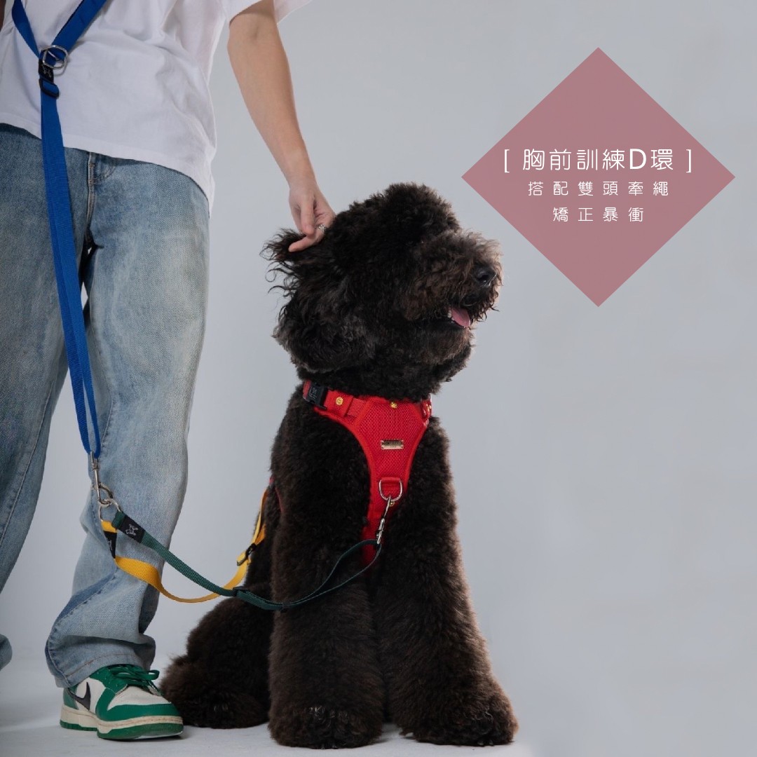 LINE_ALBUM_胸背廣告圖_230921_1