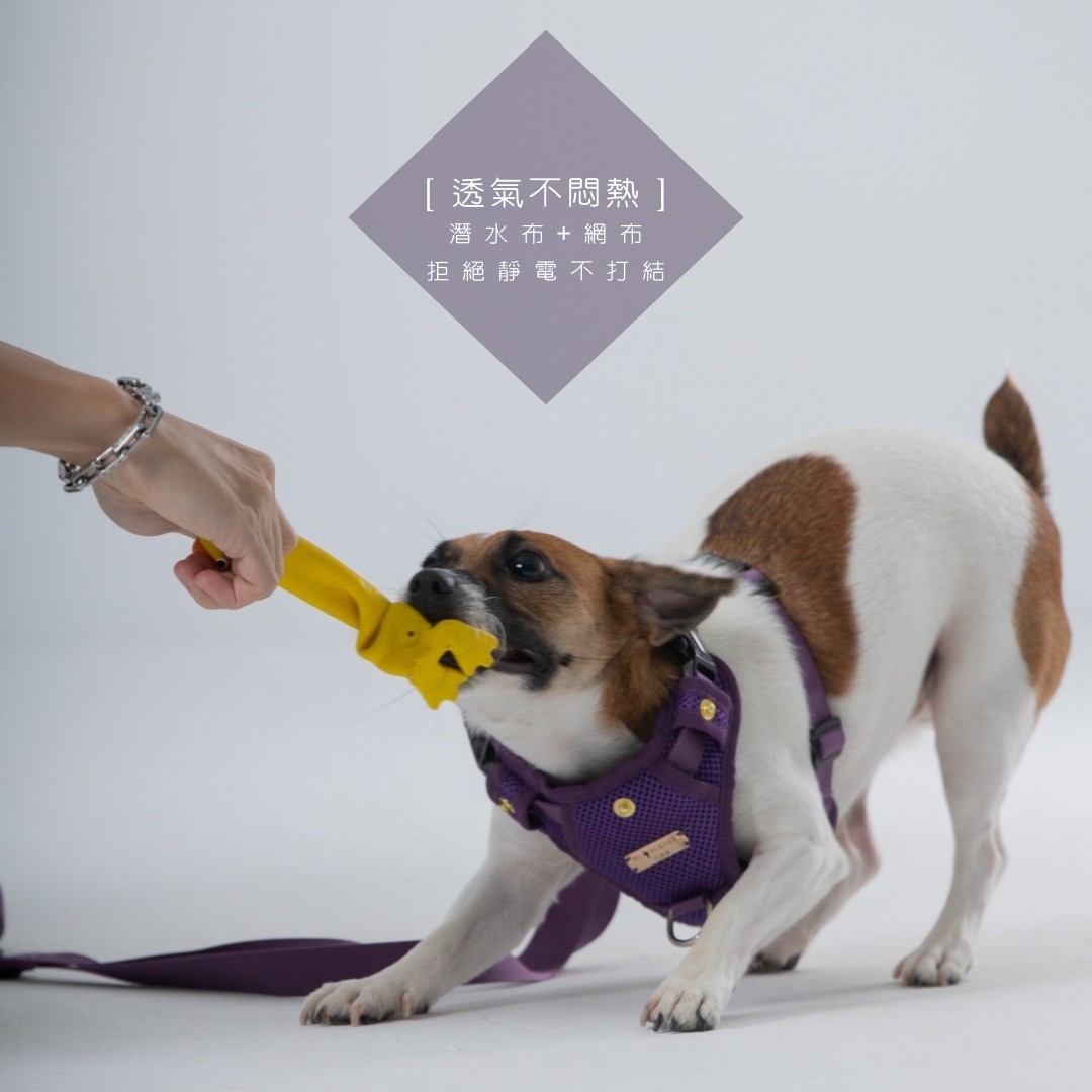 LINE_ALBUM_胸背廣告圖_230921_2