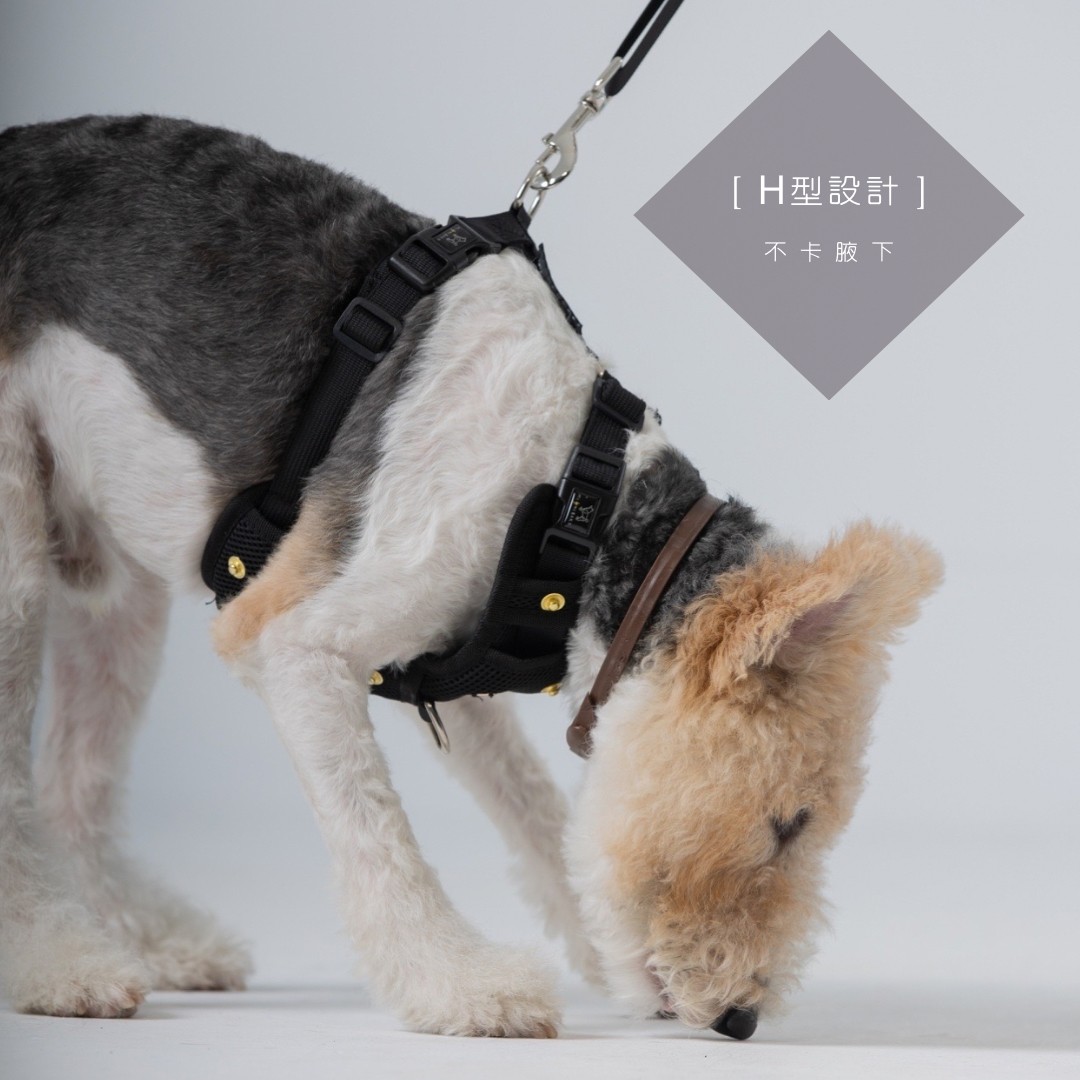 LINE_ALBUM_胸背廣告圖_230921_3