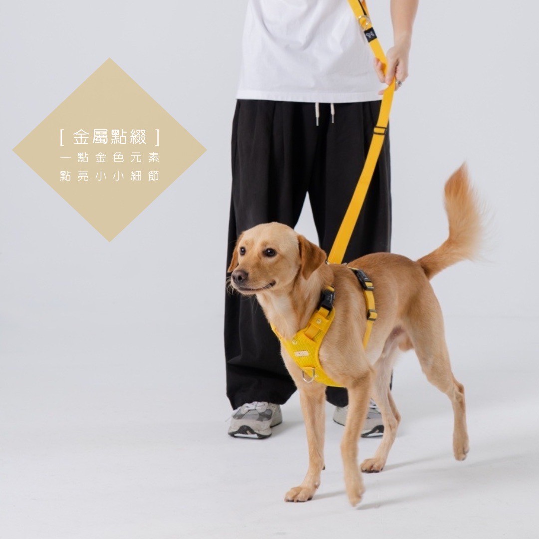 LINE_ALBUM_胸背廣告圖_230921_6