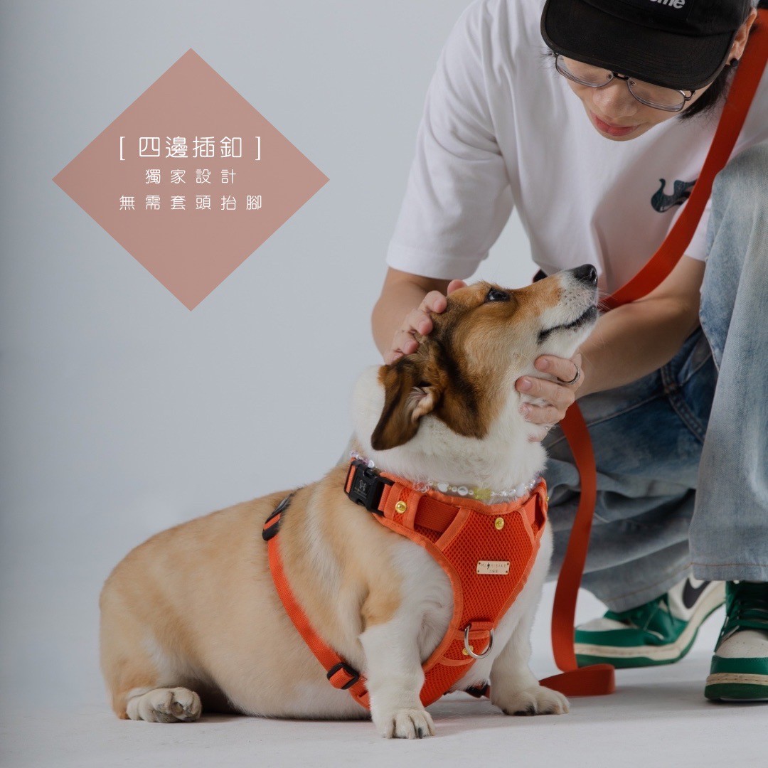 LINE_ALBUM_胸背廣告圖_230921_5