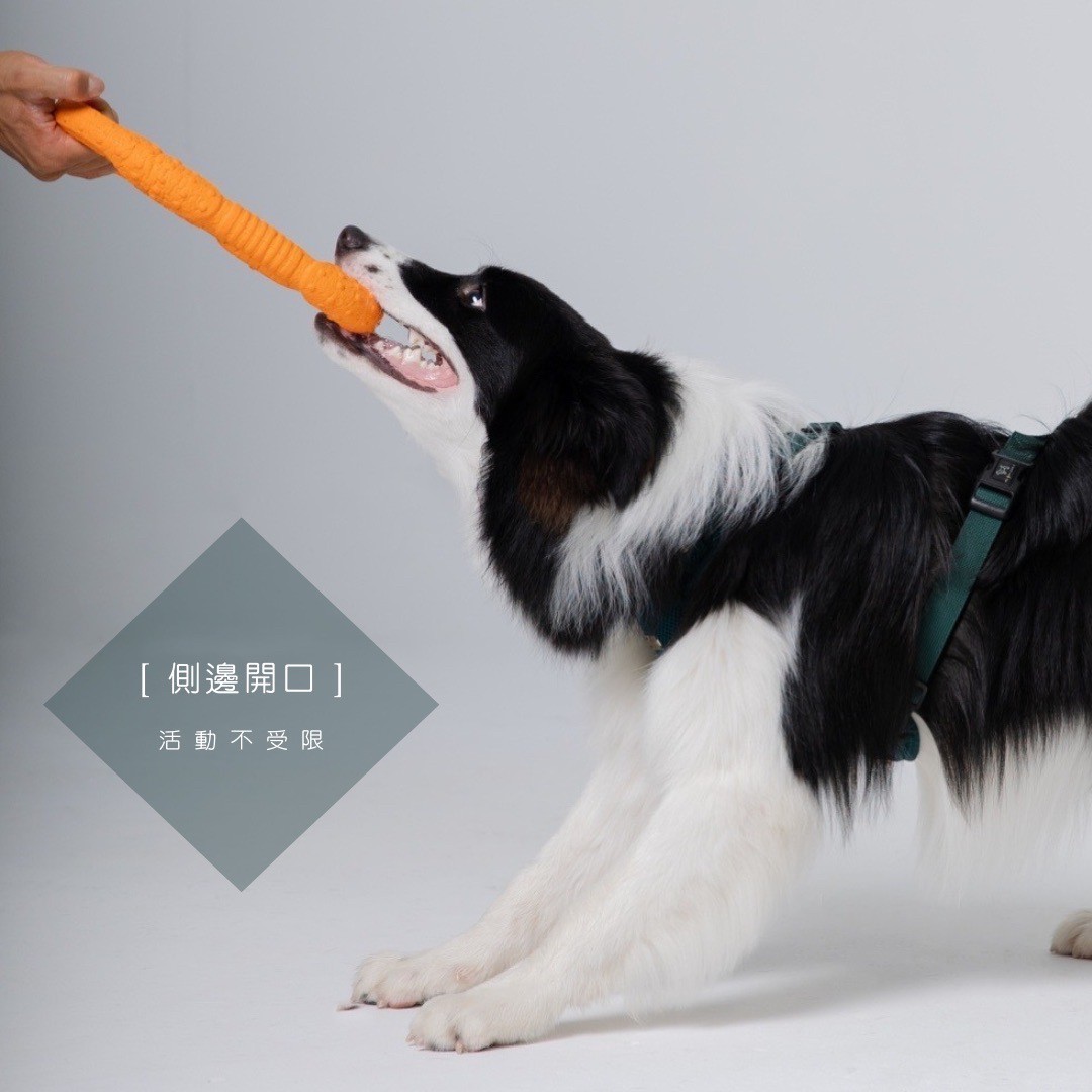 LINE_ALBUM_胸背廣告圖_230921_7