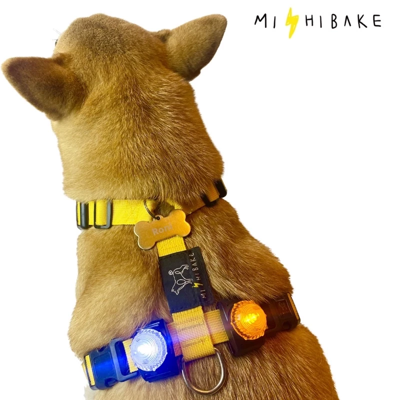 93328687801fae1324280d6184321449