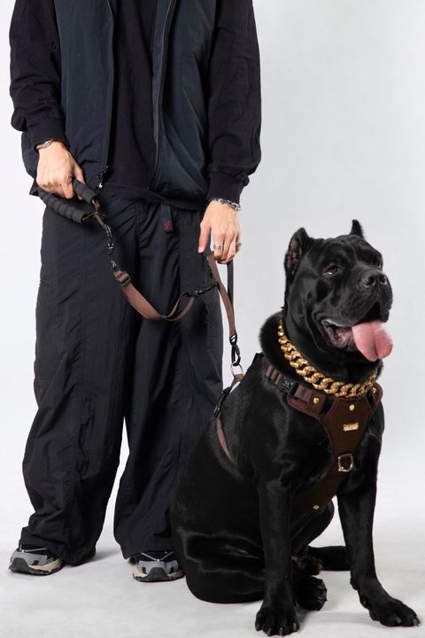 LINE_ALBUM_新短牽_240322_2