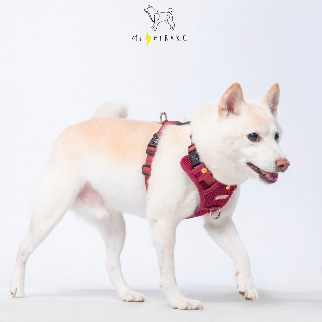 LINE_ALBUM_23新棚拍_230921_9