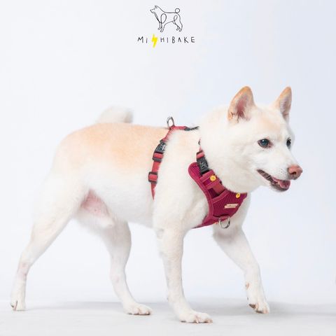 LINE_ALBUM_23新棚拍_230921_9