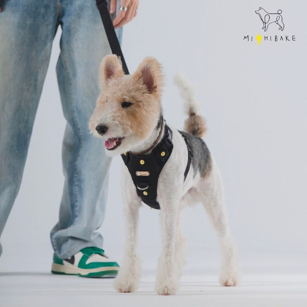 LINE_ALBUM_23新棚拍_230921_5