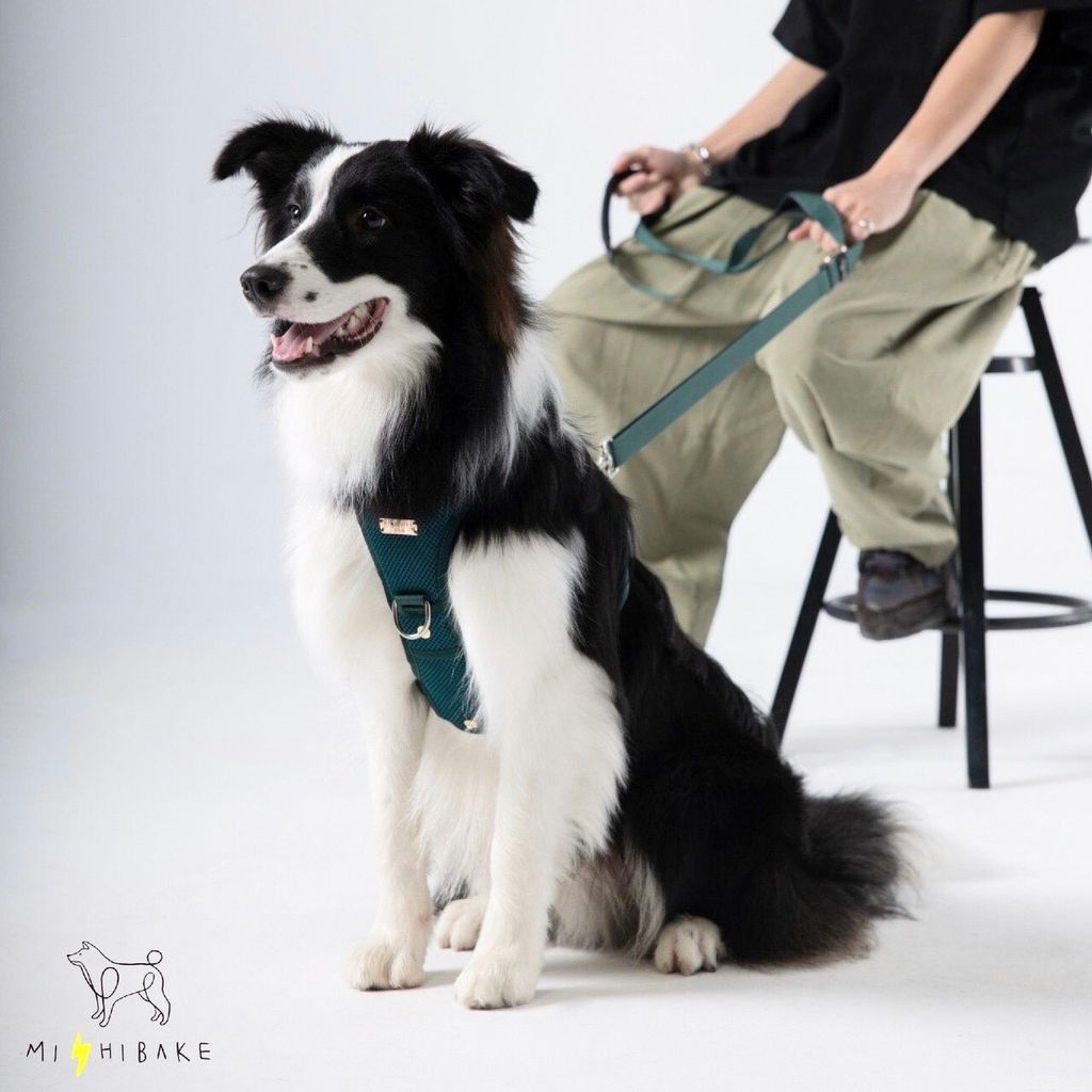 LINE_ALBUM_23新棚拍_230921_12