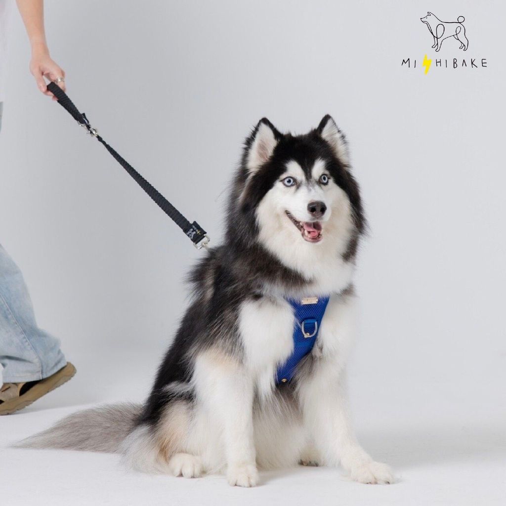 LINE_ALBUM_23新棚拍_230921_3