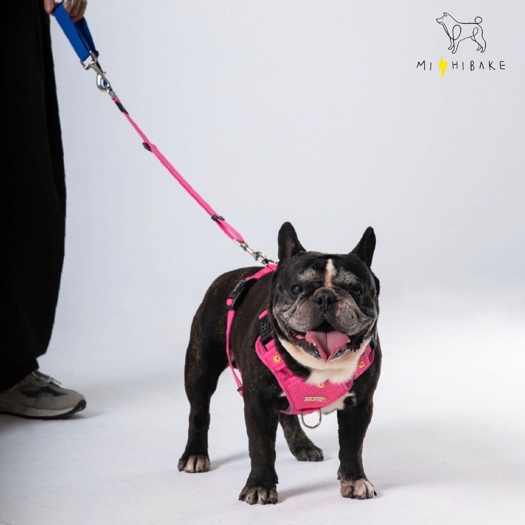 LINE_ALBUM_23新棚拍_230921_6