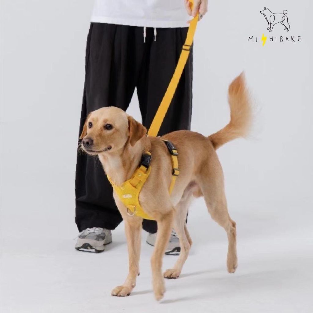 WeChat 圖片_20240119163331