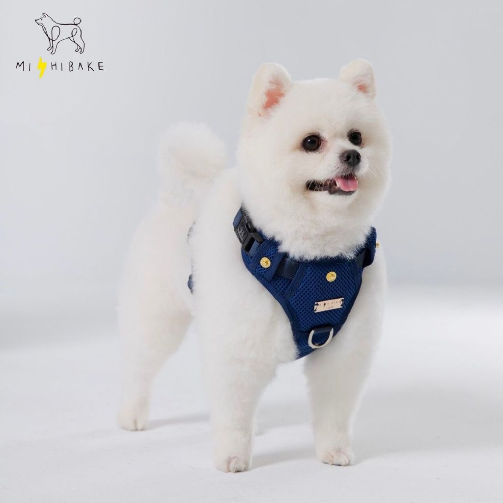 LINE_ALBUM_23新棚拍_230921_2