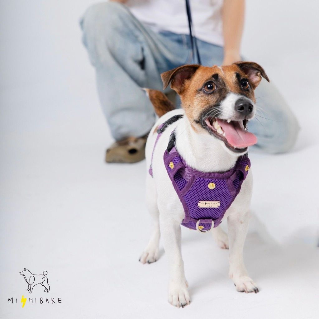 LINE_ALBUM_23新棚拍_230921_7