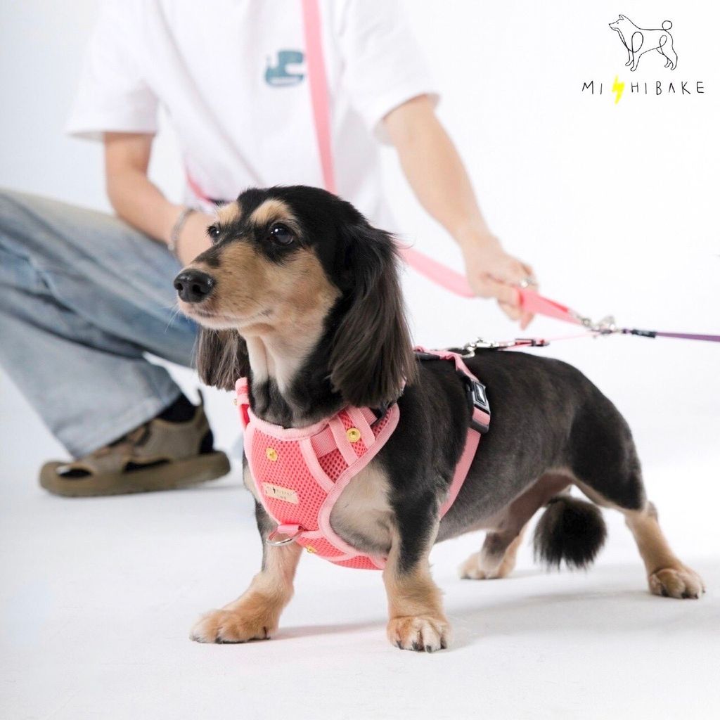 LINE_ALBUM_23新棚拍_230921_11