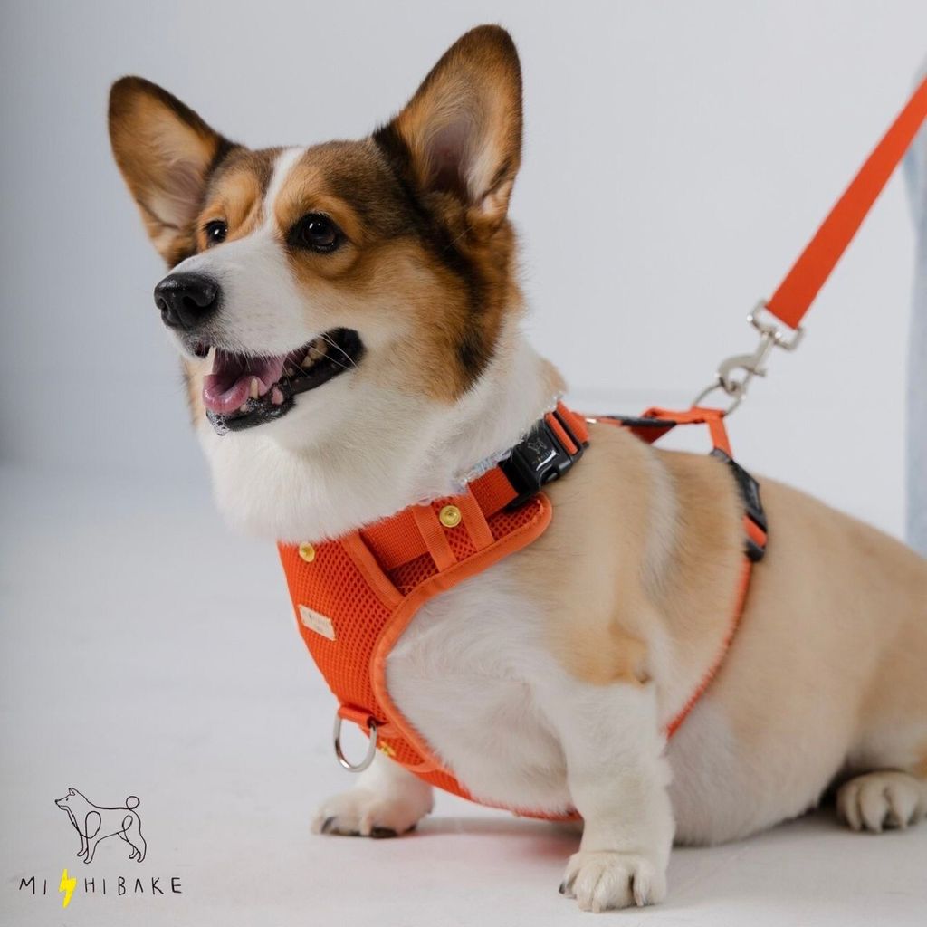 LINE_ALBUM_23新棚拍_230921_4