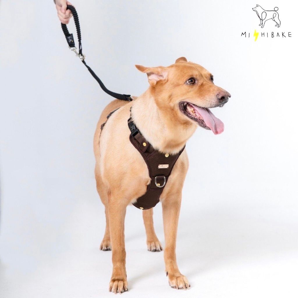 LINE_ALBUM_23新棚拍_230921_13