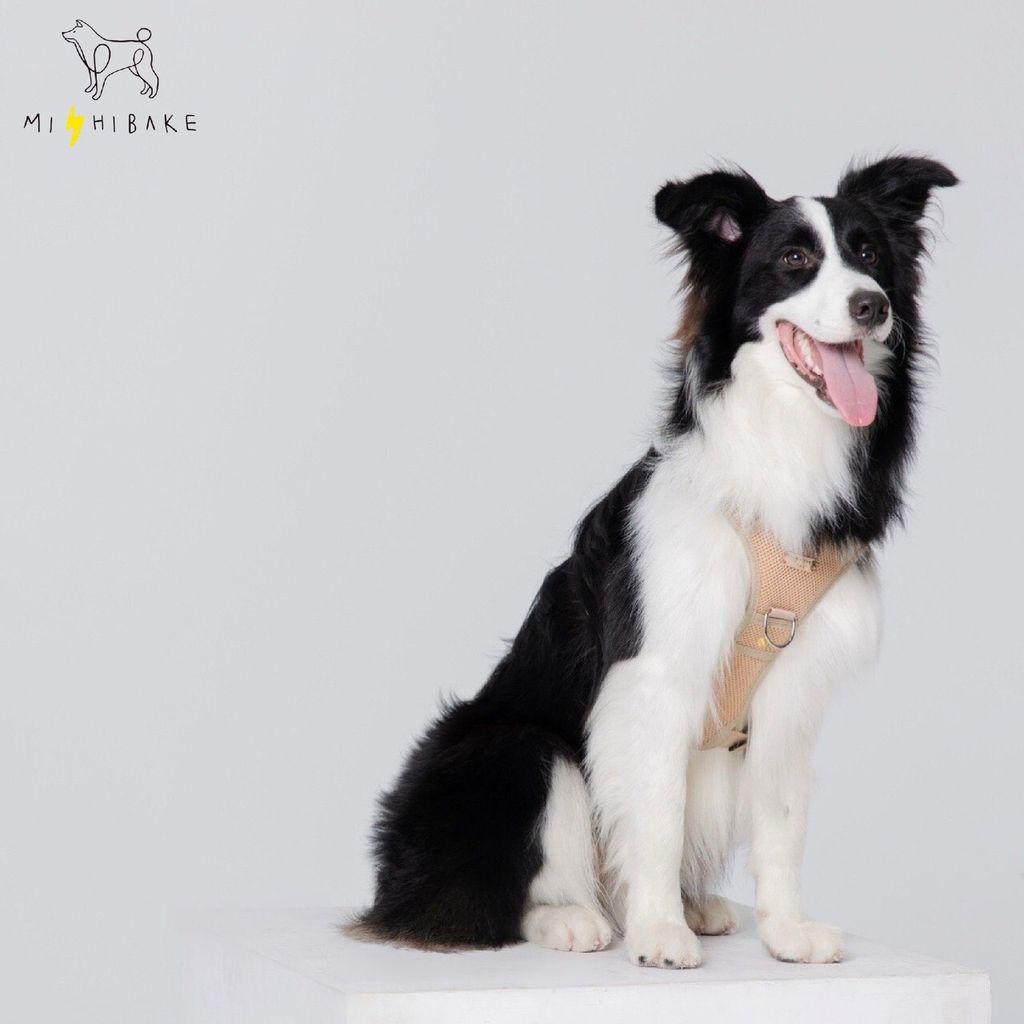 LINE_ALBUM_23新棚拍_230921_8