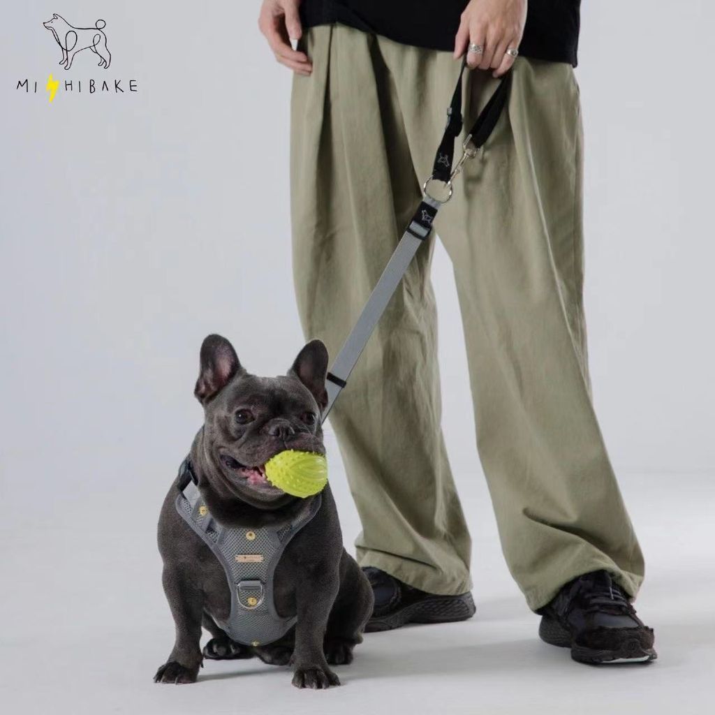 WeChat 圖片_20240119163306