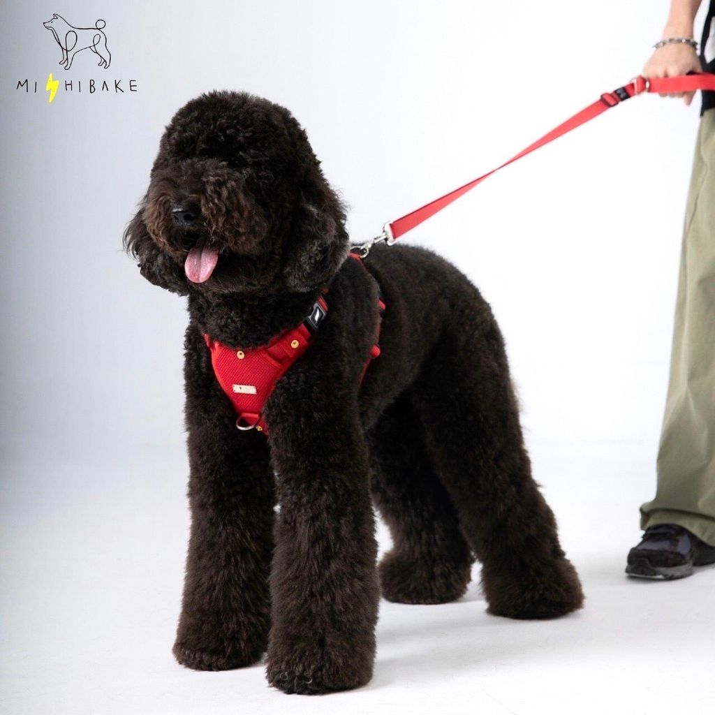 LINE_ALBUM_23新棚拍_230921_15