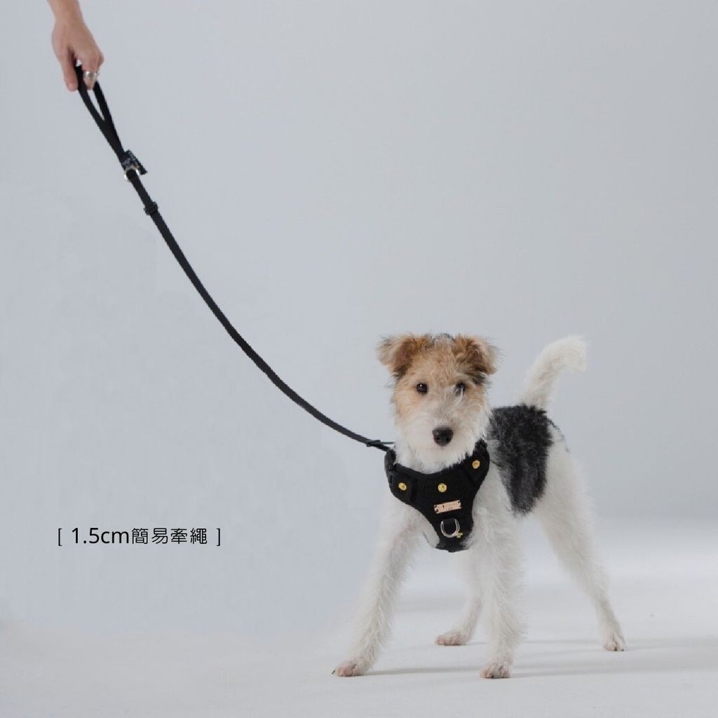 LINE_ALBUM_1.5牽繩_230921_4