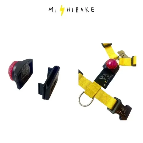 44f1afb74a58384911fd631a00fc3665