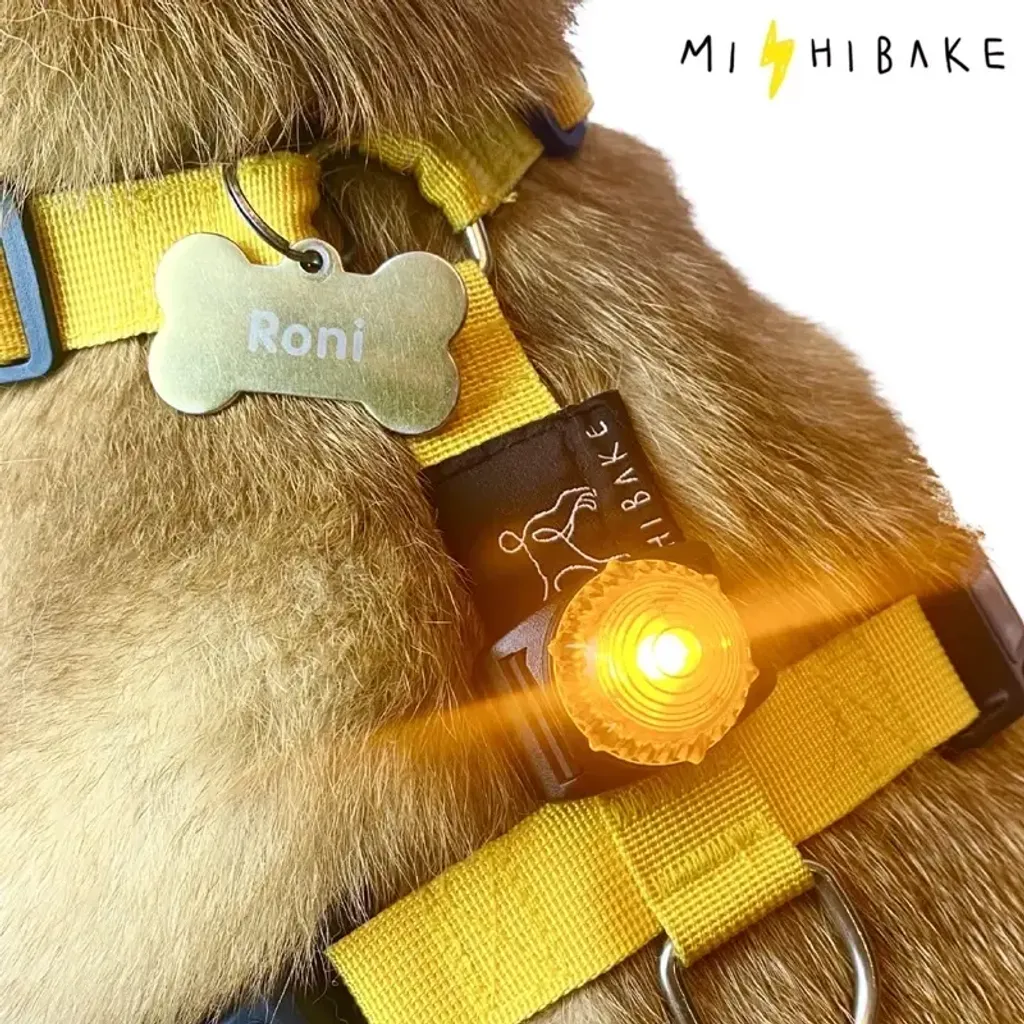 b052d14a254ecf7add236032c06c48e1