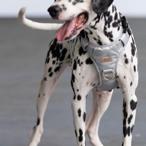 LINE_ALBUM_棚拍_241110_3