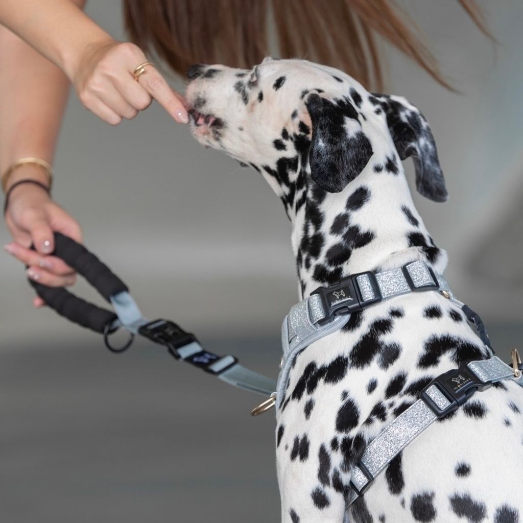 4F976A4D-AAAA-4637-A40A-E26B96D15024