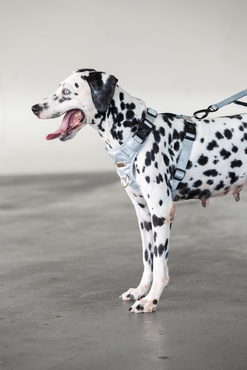 F3BC7AFB-D804-4787-9AF1-8BEBB6F3449C