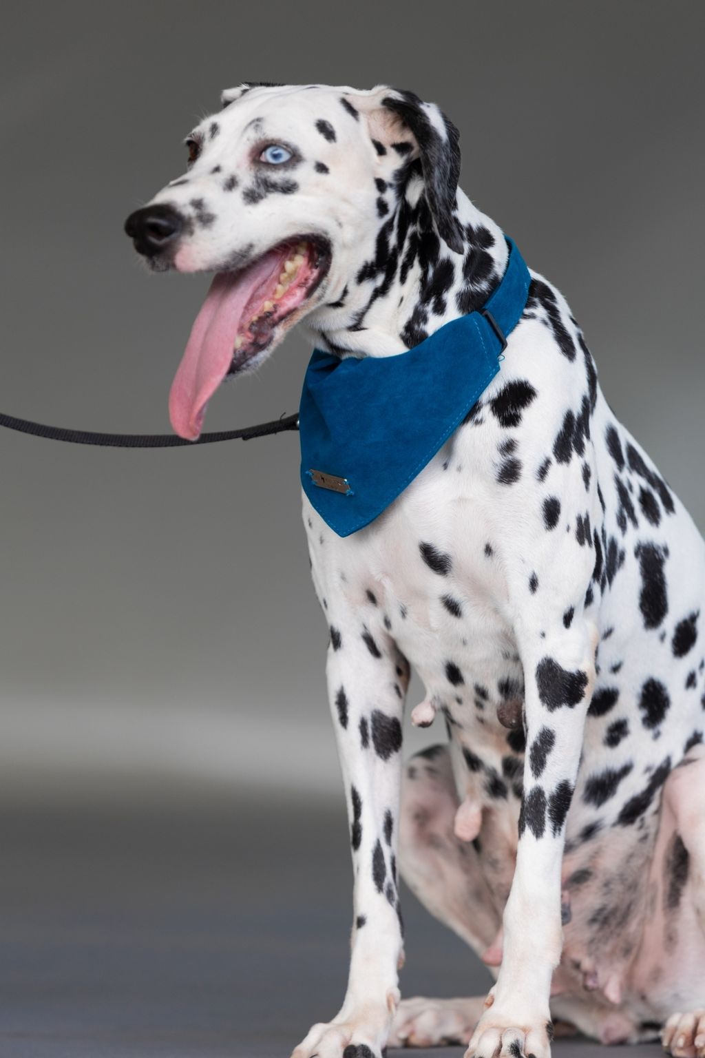 LINE_ALBUM_棚拍_241110_5