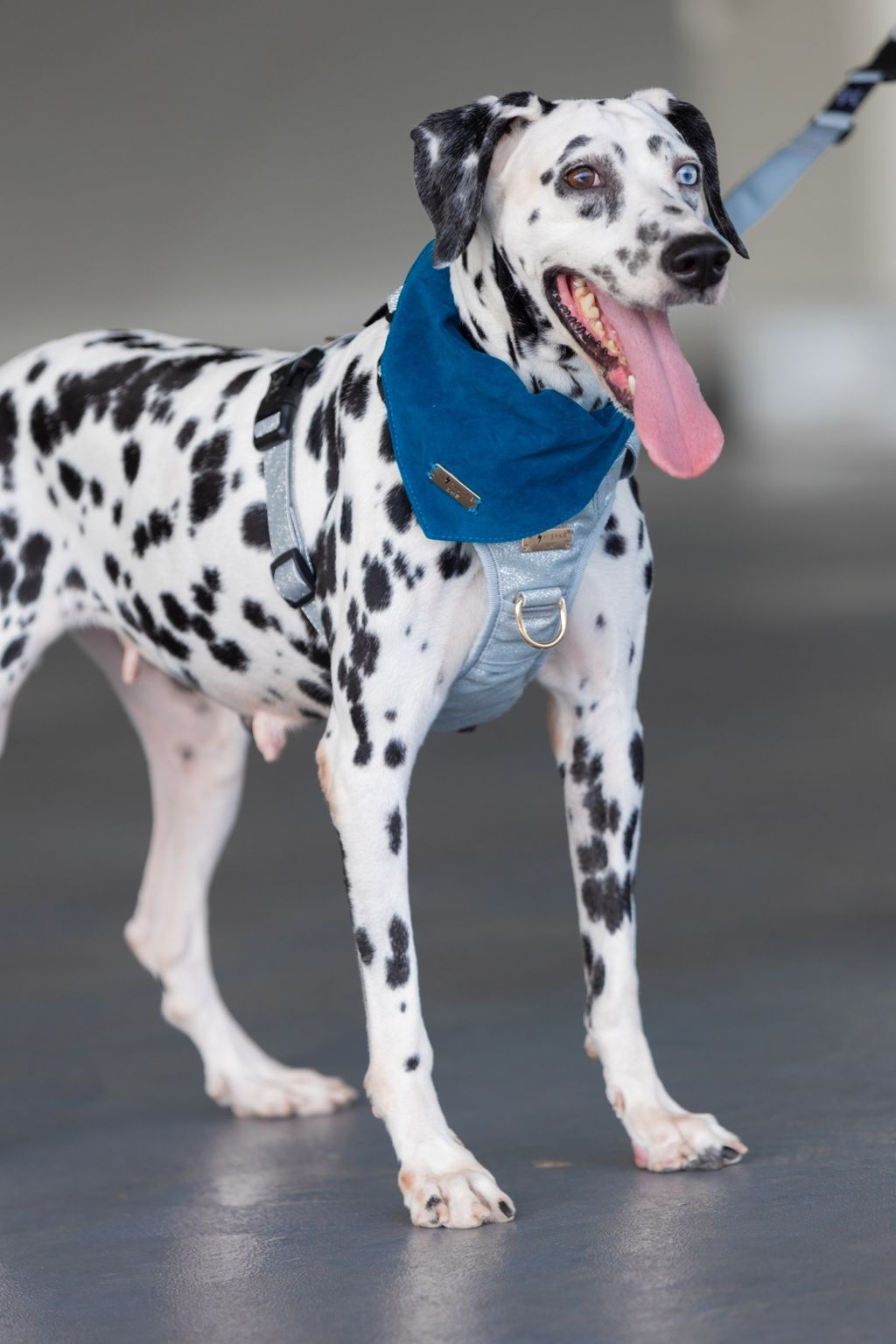 LINE_ALBUM_棚拍_241110_6