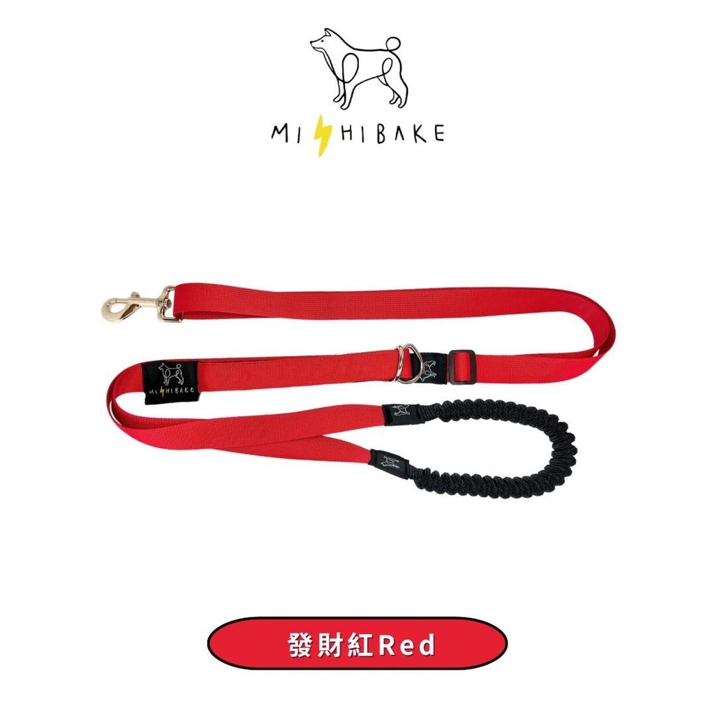 LINE_ALBUM_2.5牽繩_241110_19