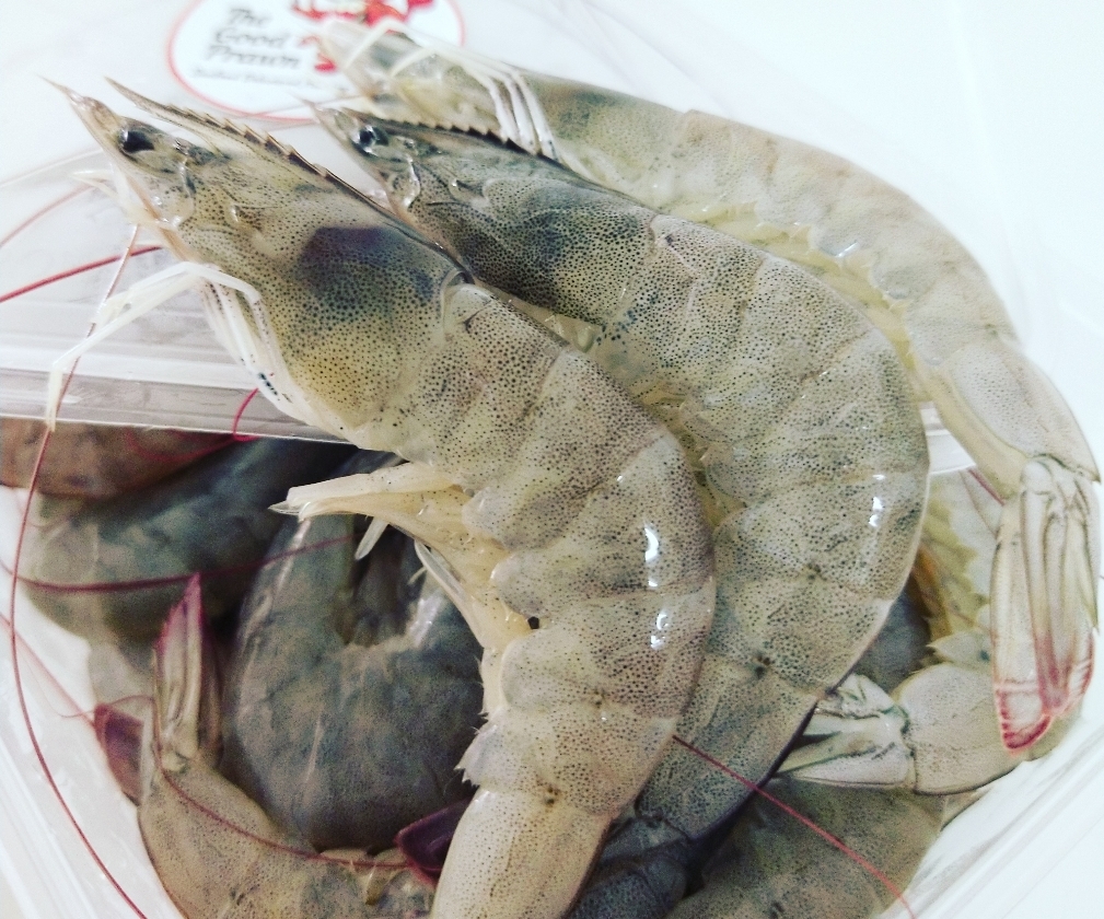 Udang putih premium.jpg
