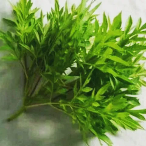 Bunga Kantan 1pc The Good Prawn