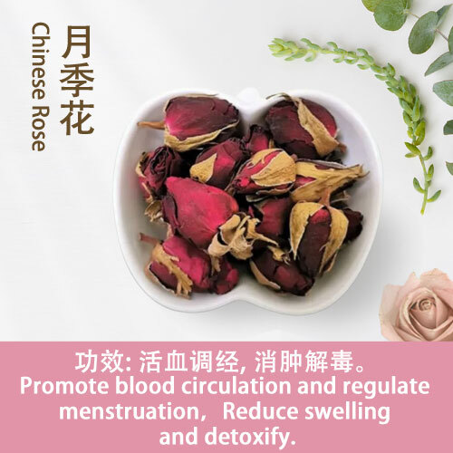 Chinese-Rose