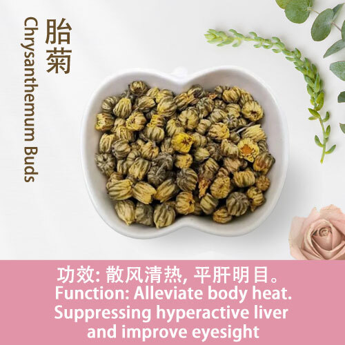 Chrysanthemum-Buds