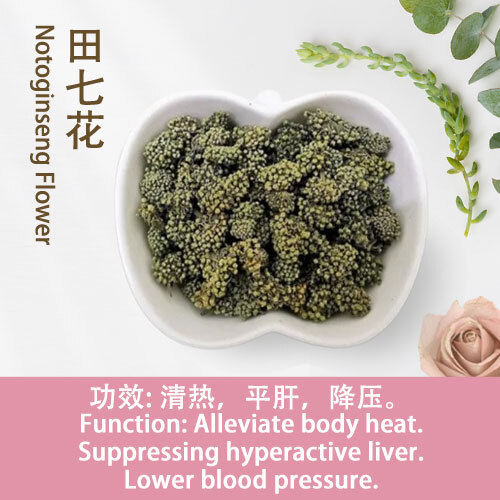 Notoginseng-Flower
