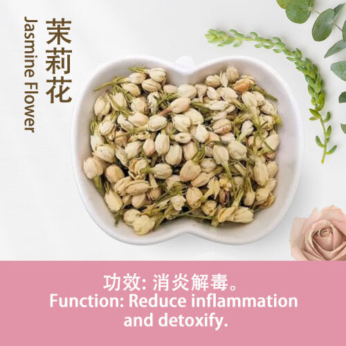 Jasmine-Flower