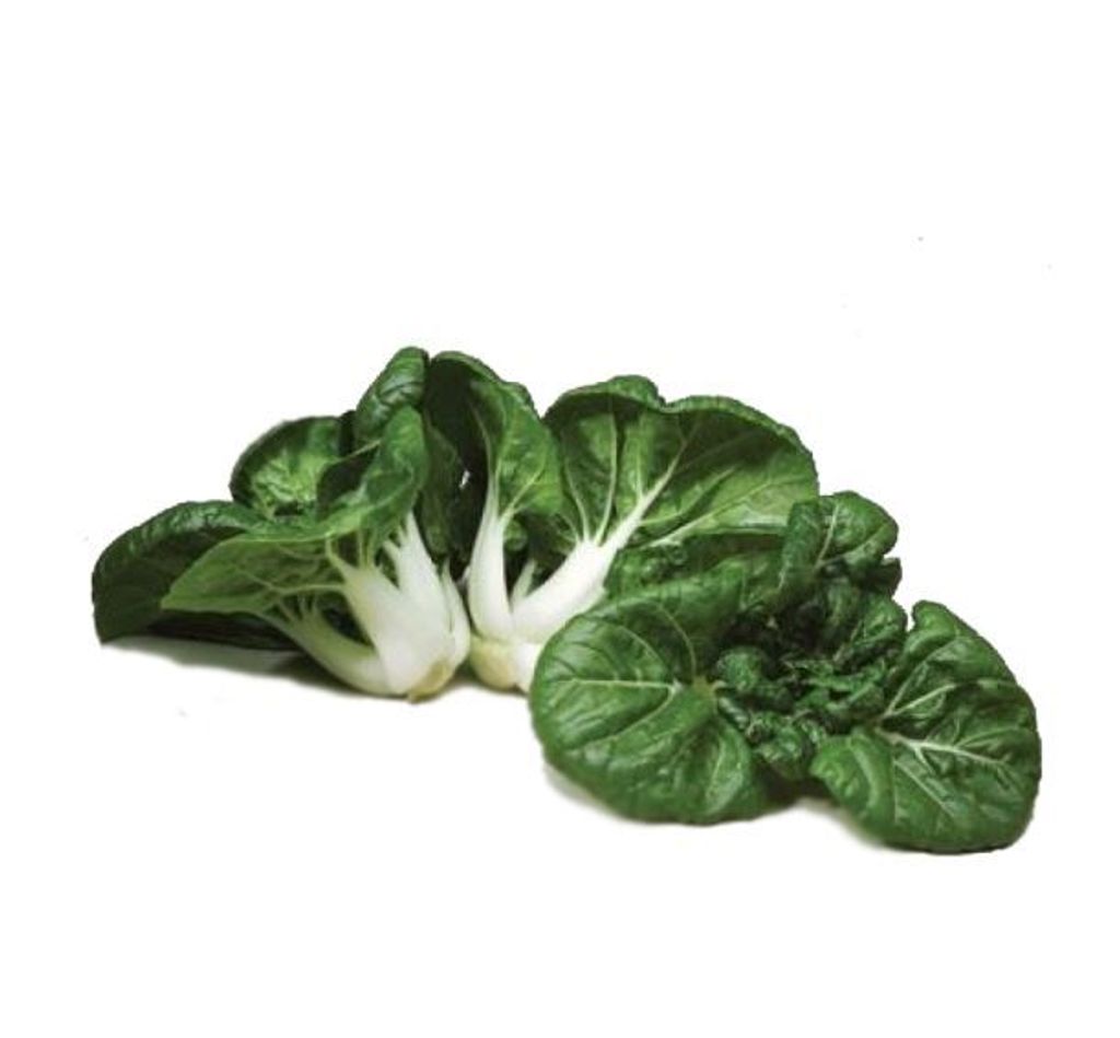 Baby-Nai-Pak-Baby-Sawi-Putih