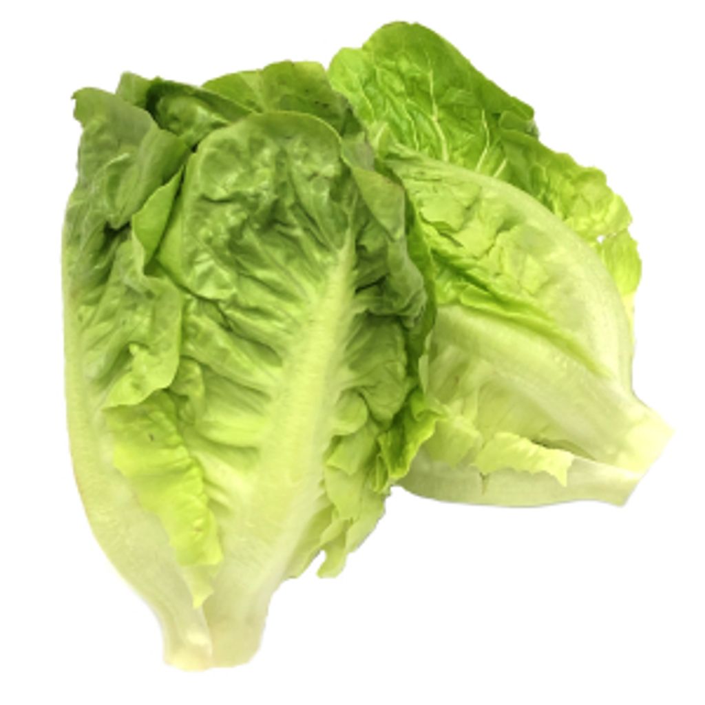 Baby-Romaine-Lettuce-250g