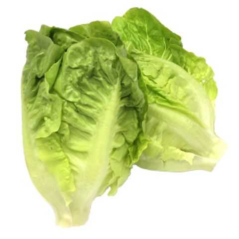 Baby-Romaine-Lettuce-250g