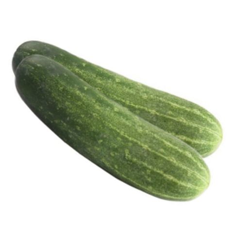 Cucumber-Timun-800g